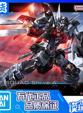 万代HG黑骑士小队毁灭高达