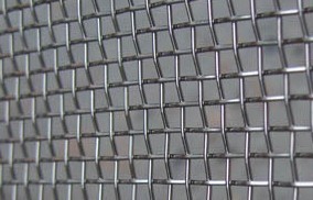MOSS 三角 鹿角苔 7cm 优于铝网可捆绑莫丝 沉木 不锈钢网7