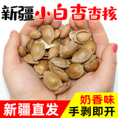 新疆小银杏杏核开口杏仁500g坚果手剥奶香味小白杏仁干果炒货特产