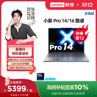 酷睿Ultra5 正品 联想小新Pro14 Pro16 商务办公大学生游戏轻薄本笔记本电脑 政府补贴10% AI超能本可选