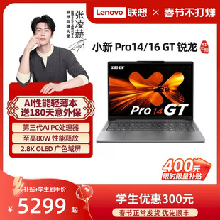 Pro16GT 联想小新Pro14GT 国补 2025锐龙AI标压处理器大学生学习办公游戏轻薄笔记本电脑联想 限时补贴400
