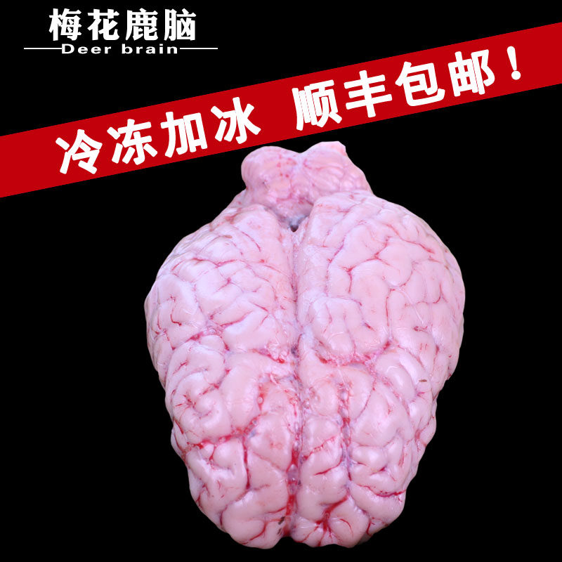 吉林梅花鹿 鹿脑 鹿肉 鹿茸 鹿鞭 鹿筋 鹿大腿肉 鹿心鹿尾 顺丰