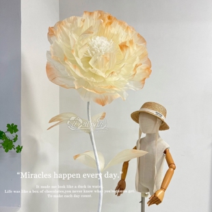 免剪喷色牛奶棉芍药牡丹大型花DIY手工材料包橱窗装饰婚礼美陈