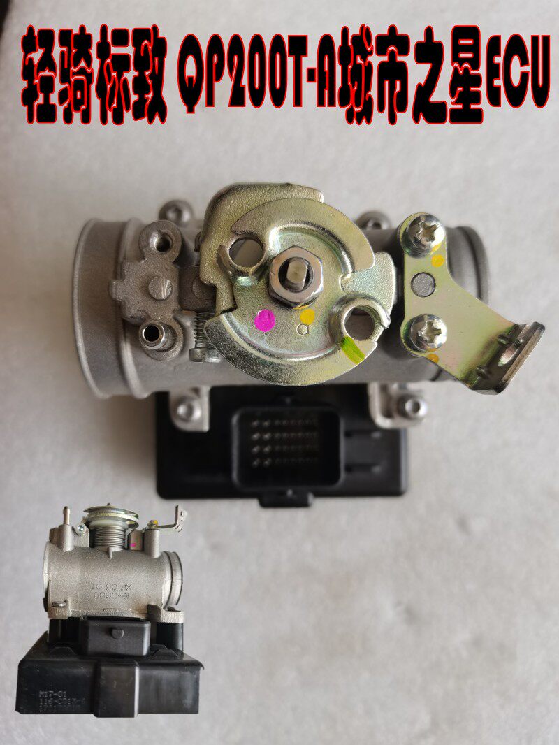 适用标致QP200T-A城市之星摩托车ECU 防盗器装置节气门 新车电脑