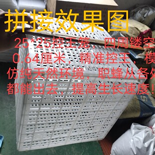 25*25厘米胡蜂黄脚黑盾七里专用大号控王片黄脚收王笼控王笼