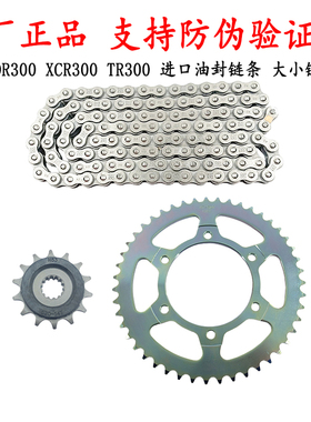 适用豪爵DR250 DR300套链XCR300大小飞链轮TR300牙盘进口油封链条