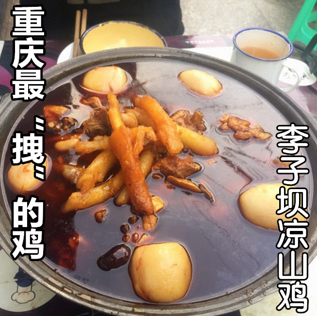 包邮 华少推荐 重庆李子坝梁山鸡6.5斤活鸡现杀现烧国内代购