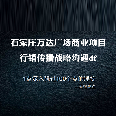 石家庄万达广场商业项目行销传播战略沟通房地产策划方案项目设计