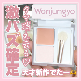 现货包邮日本正品wonjungyo小猴子推荐双色黑眼圈遮瑕膏眼部定妆