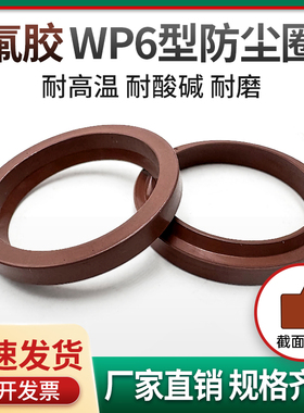 氟胶防尘WP6-75*87.2/80*92.2/85*97.2/90*102.2/95*107.2*7.2/12