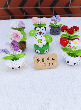成品动物花盆草莓花盆手工钩织毛线编织钩织花束车载摆件