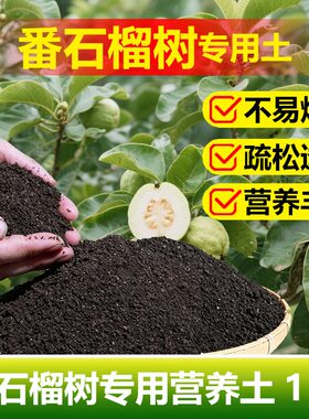 番石榴树专用土料盆栽种植果树营养土旺长生根发芽促长新种植家用