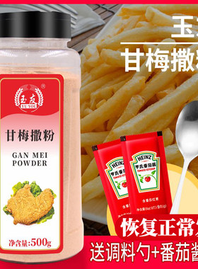 正新台湾商用撒料500g梅子粉