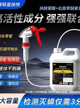 宾馆杀虫剂喷雾苍蝇蚊子蟑螂