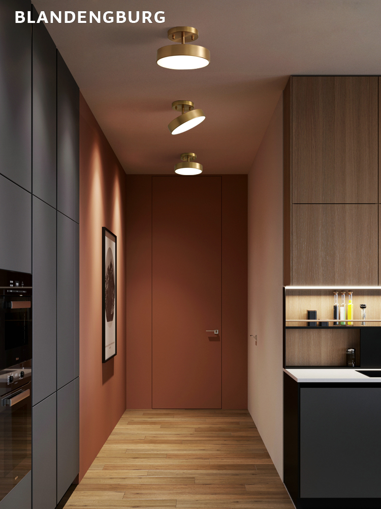 Cloakroom light brass aisle corridor light 2021 new led modern simple home lighting net red light