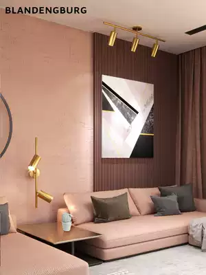 Nordic brass track spotlight Light luxury LED Modern simple living room dining room cloakroom TV background wall light