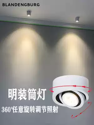 Bright downlight Nordic led modern simple adjustable rotating COB home porch aisle spotlight Net red spotlight