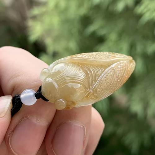 缅甸A货翡翠吊坠黄色黄翡金蝉