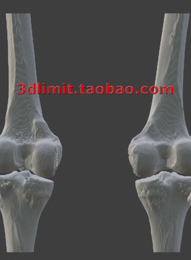 3D打印扫描DICOM dcm CT医学数据转换3D模型stl obj gltf dae fbx