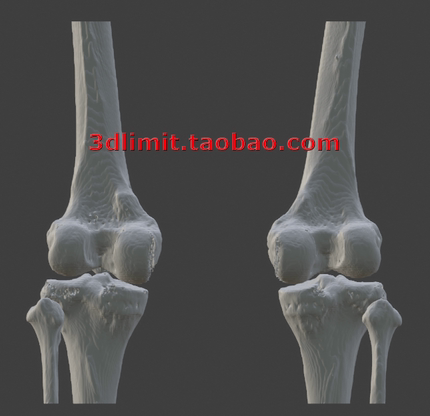 3D打印扫描DICOM dcm CT医学数据转换3D模型stl obj gltf dae fbx