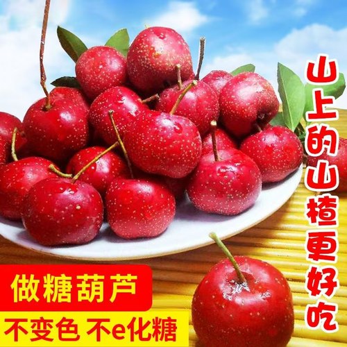 新鲜山楂糖葫芦无添加水果