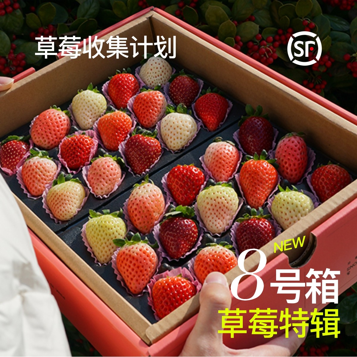 天呐！这是什么神仙礼物