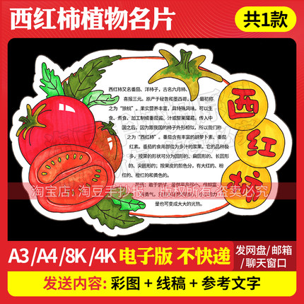 西红柿番茄蔬菜手抄报植物卡片生长自然笔记电子版线稿打印435