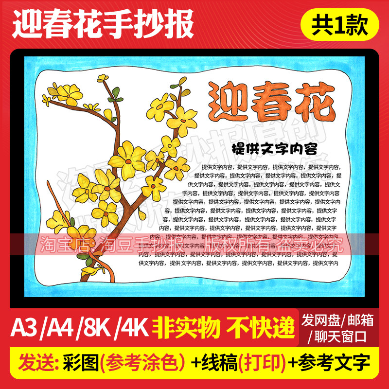 迎春花手抄报模板植物观察名片笔记儿童画电子版线稿打印涂色536