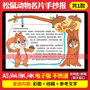 小松鼠手抄报模板观察野生动物名片电子版观察日记笔记线稿486