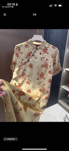 立领女装 国风夏季 新中式 连衣裙 蝶衣