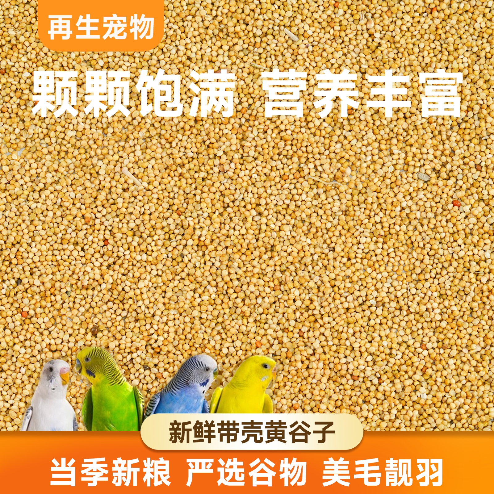 新鲜饱满！新带壳黄谷子5斤