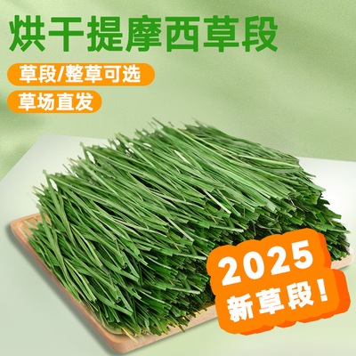 当季提摩西草段叶多杆绿兔友推荐