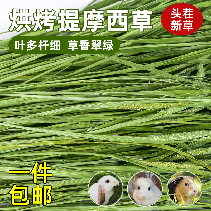 北提提摩西草烘烤豚鼠龙猫