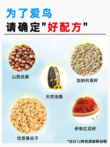 Свежие и не собирая рот, красивые волосы, красивые перья, питание птиц птиц