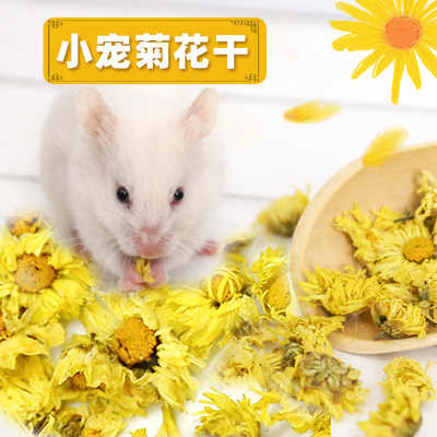 仓鼠菊花干清热解暑降火去火零食