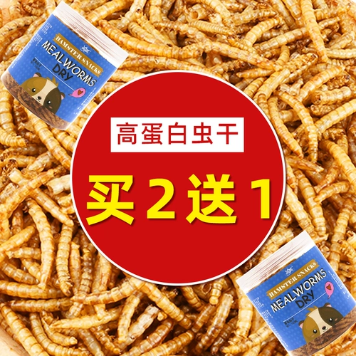 Зерновая лапша, червяка, червь, сушеное желтое порошок питание, пищевые товары основного зерна