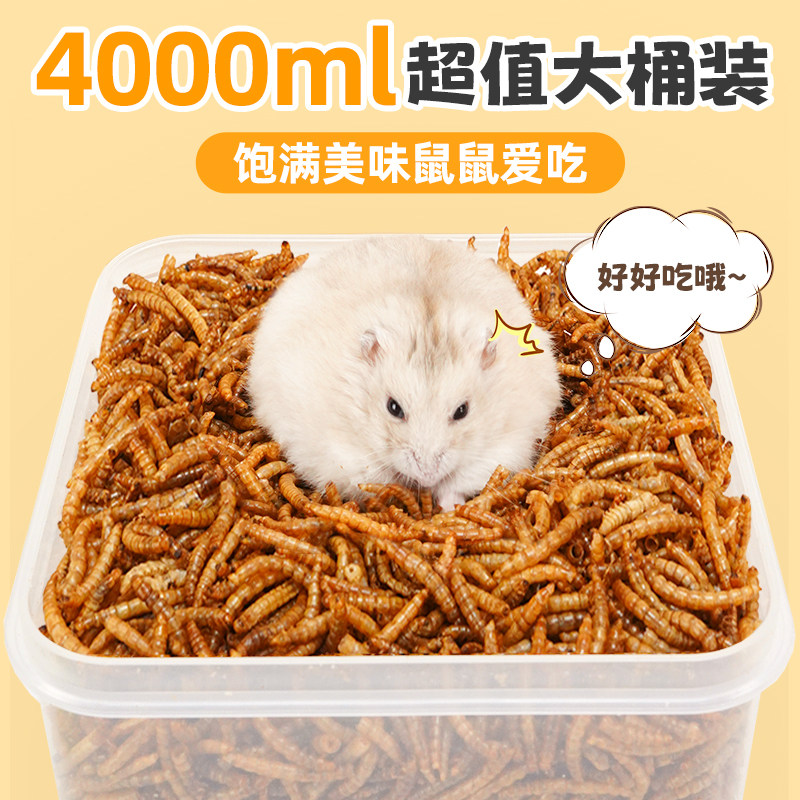 仓鼠粮食面包虫干金丝熊过冬营养主粮零食苍鼠生活专用品大全饲料,宠物/宠物食品及用品,鼠粮,淘宝优惠券,粉丝福利购,淘宝优惠卷