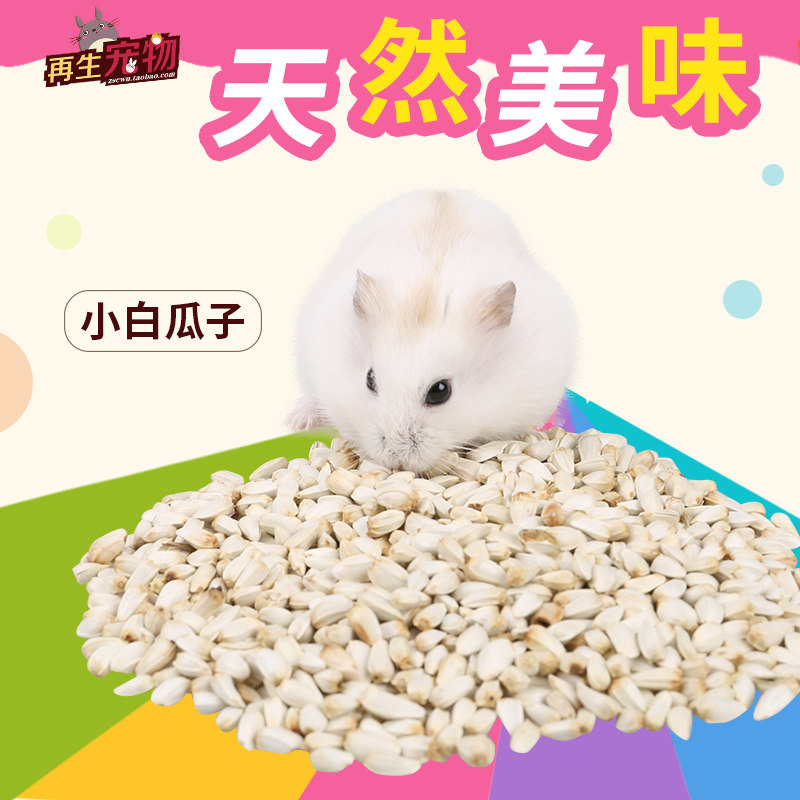 再生宠物 天然红花籽白谷子 白瓜子仓鼠谷物仓鼠粮仓鼠粮食100g