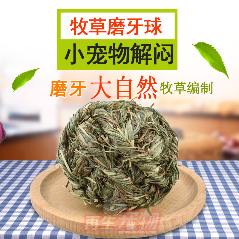 兔子龙猫荷兰猪豚鼠玩具磨牙零食