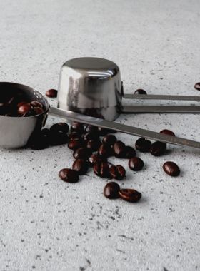 Mischief恶作剧咖啡豆勺304不锈钢金属长柄勺13-15克定量勺取豆勺