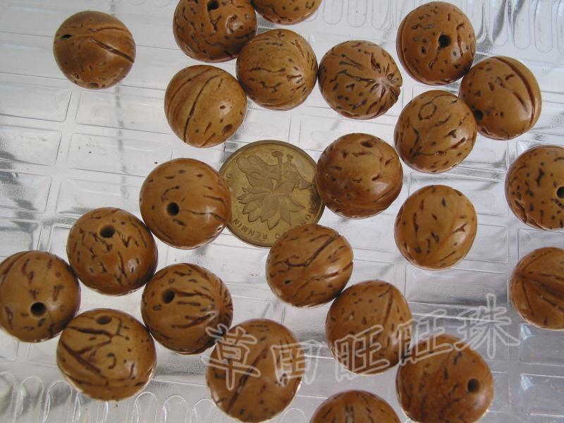 diy原籽蟠桃散珠菩提籽种特价