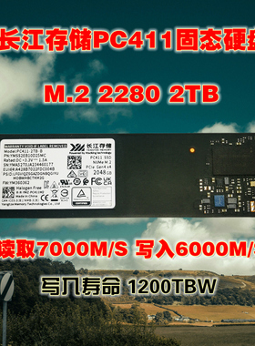 长江存储PC411 M.,2 2TB 2280 nvme pcie4.0高速固态OEM版工包
