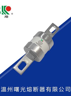 曙熔出口型 快速熔断器汽车熔管熔芯保险丝JPU扁平触头圆管熔断体
