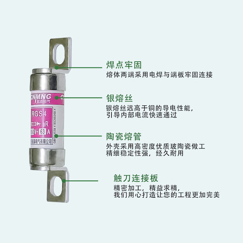RGS4 AC690V快速熔断器RS308-HB/660GH/EV88/RSG100A