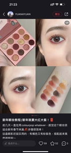 放xue价！19年产出 colourpop whatever 12色眼影盘 豹纹盘