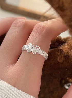 持恒S925纯银镶石蝴蝶戒指女简约时尚2024新款韩版百搭指环高级感