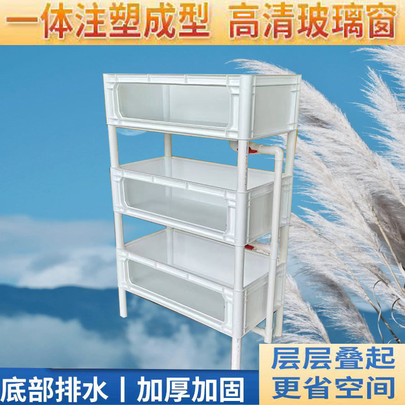 PP一体成型超高清一面玻璃龟箱