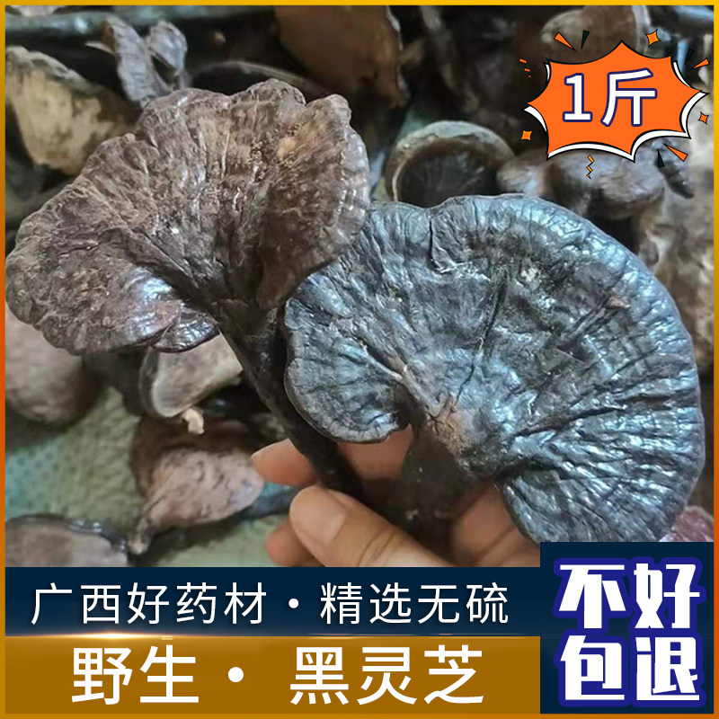 广西纯野生黑灵芝干货整枝