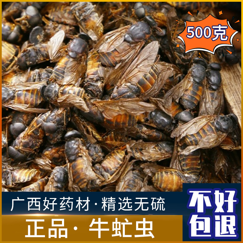 野生牛虻虫中药材新货牛苍蝇 牛蚊子 瞎虻虫 瞎蚂蜂500g正品干货