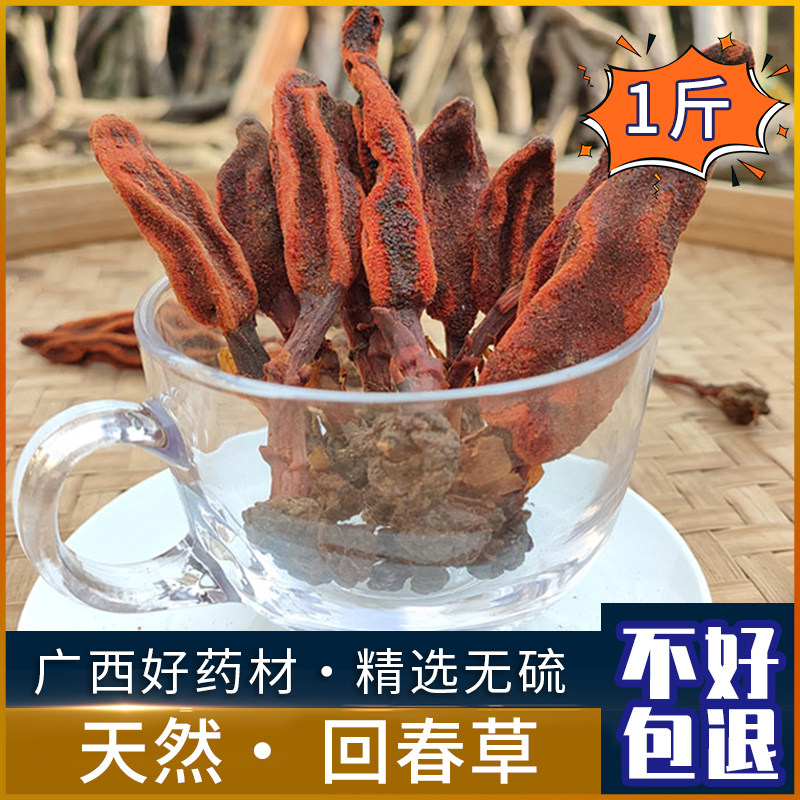 回春草野生500g干货男性滋补煲汤